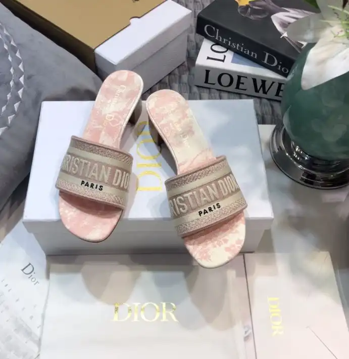 hype Christian Dior Slippers