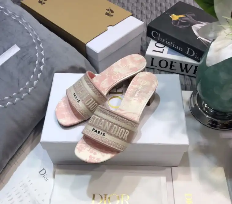 hype Christian Dior Slippers