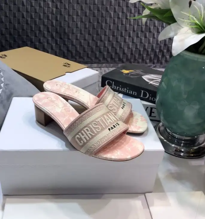 hype Christian Dior Slippers