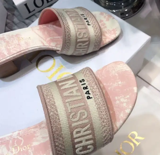 hype Christian Dior Slippers