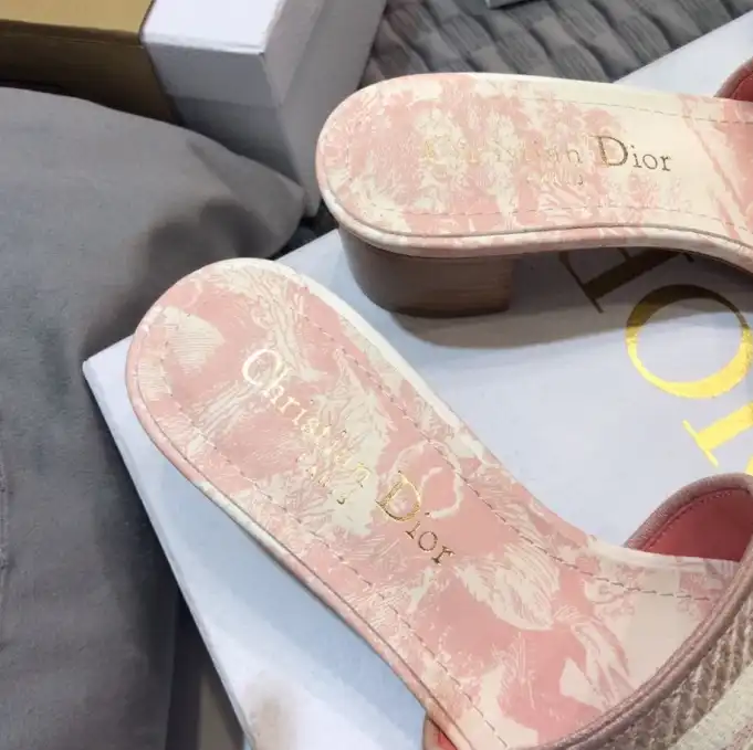 hype Christian Dior Slippers