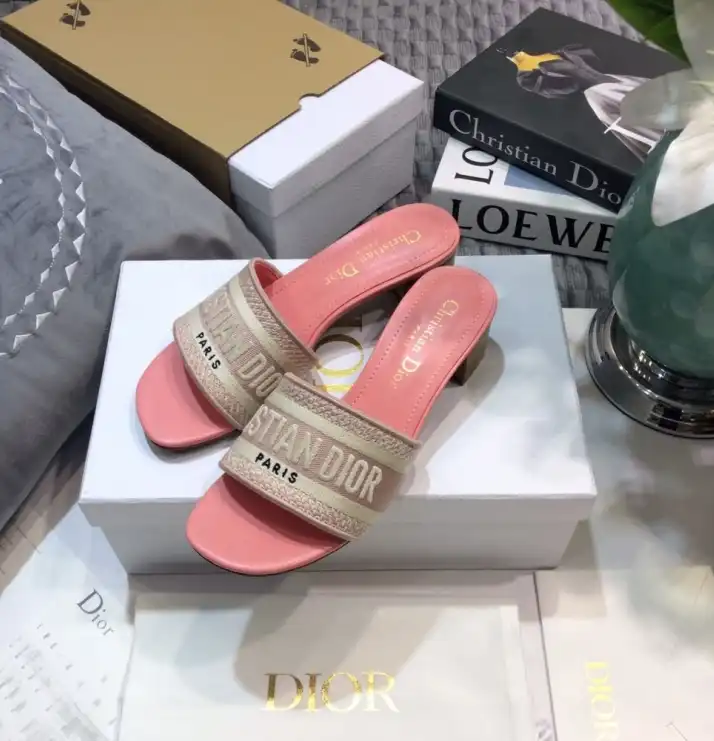 hype Christian Dior Slippers