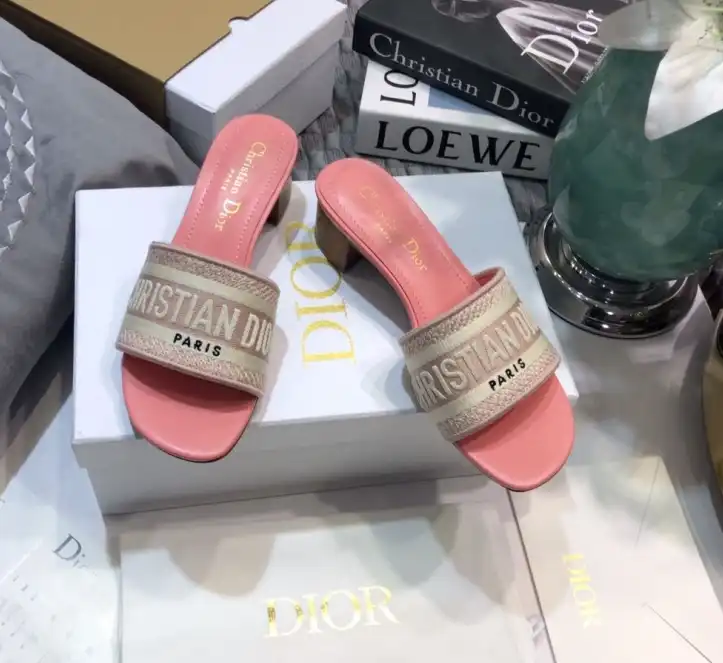 hype Christian Dior Slippers