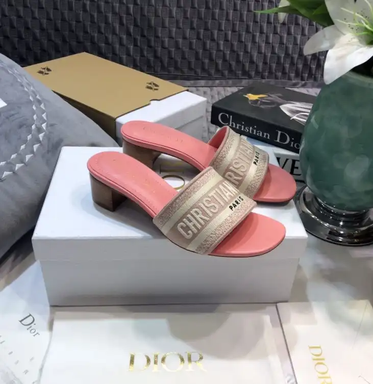 hype Christian Dior Slippers