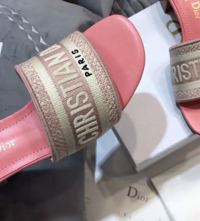 hype Christian Dior Slippers