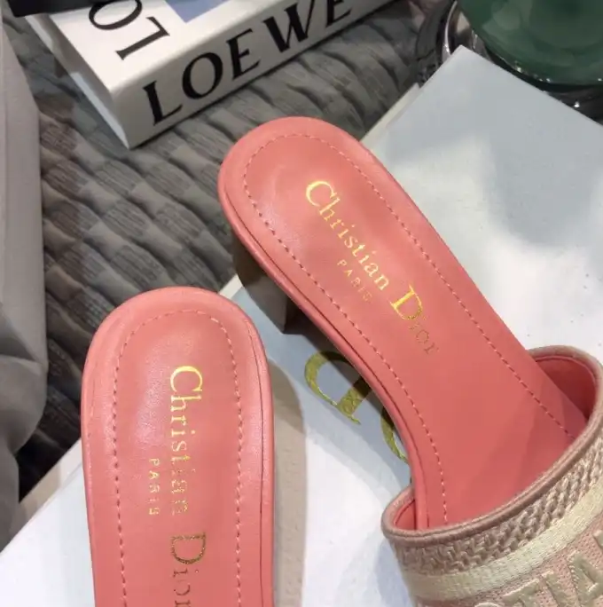 hype Christian Dior Slippers