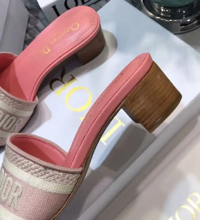 hype Christian Dior Slippers