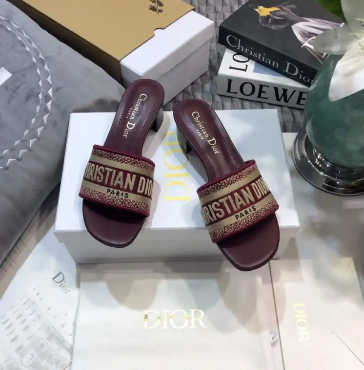 hype Christian Dior Slippers