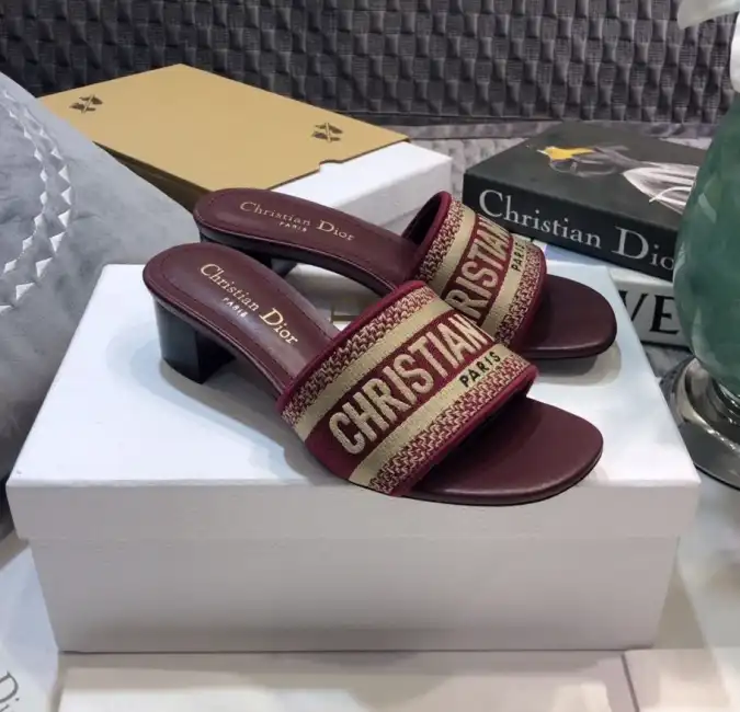 hype Christian Dior Slippers