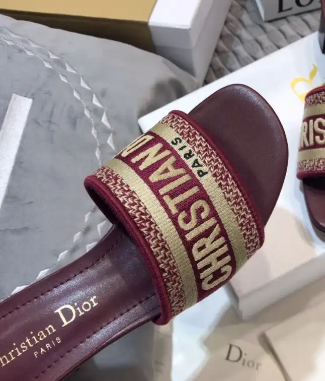 hype Christian Dior Slippers