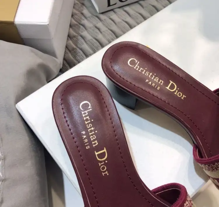 hype Christian Dior Slippers