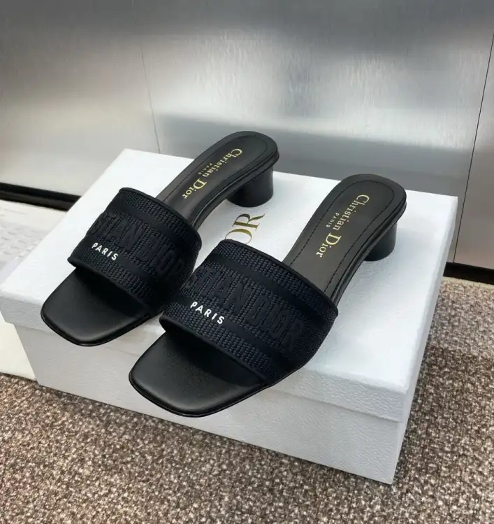 hype Christian Dior Slippers