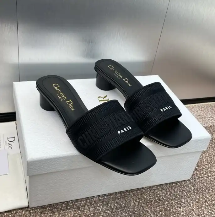 hype Christian Dior Slippers