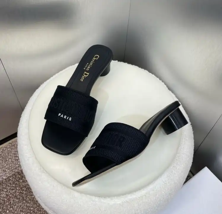 hype Christian Dior Slippers