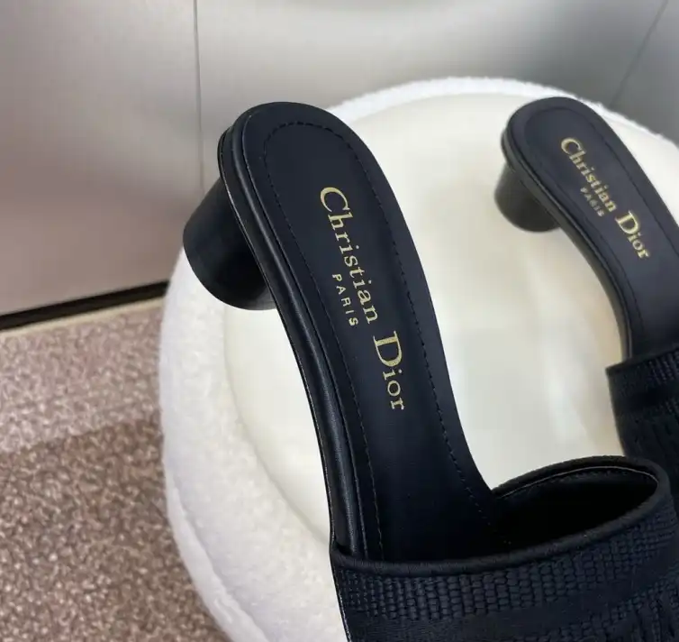 hype Christian Dior Slippers