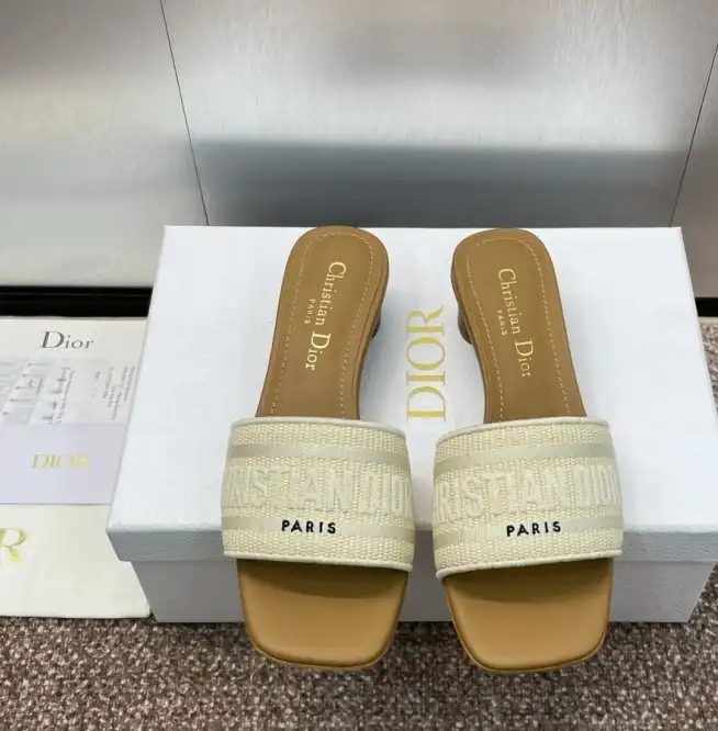 hype Christian Dior Slippers