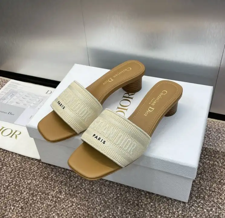 hype Christian Dior Slippers