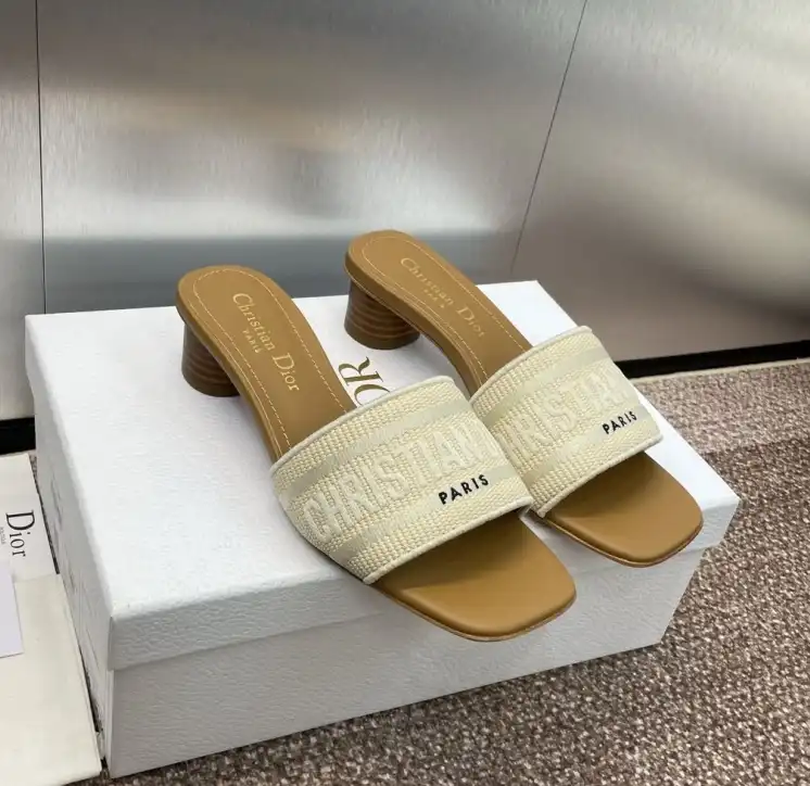 hype Christian Dior Slippers