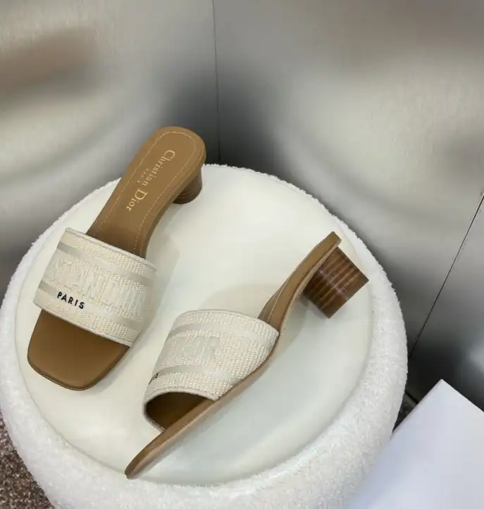 hype Christian Dior Slippers