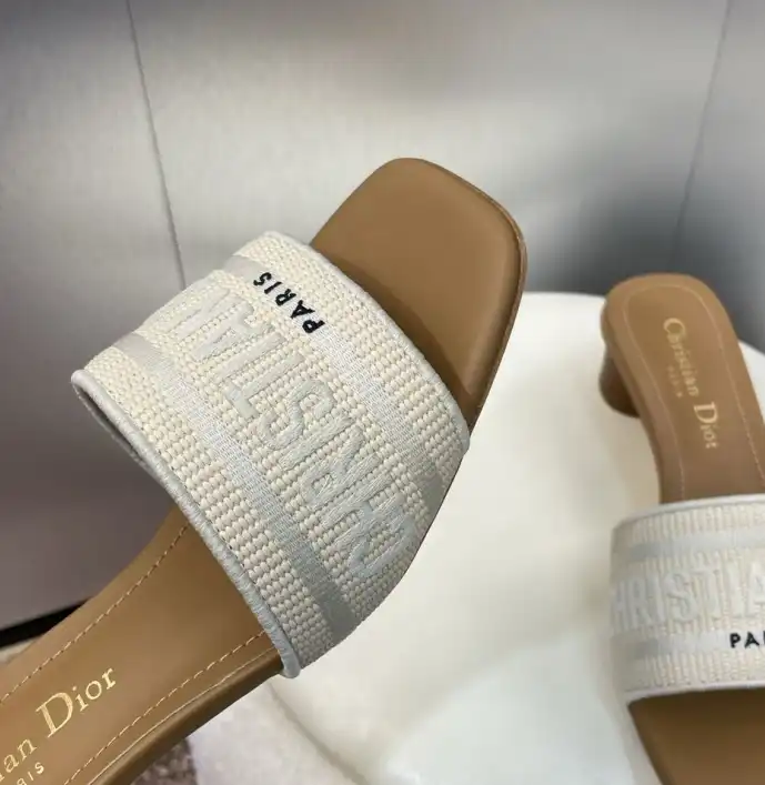 hype Christian Dior Slippers