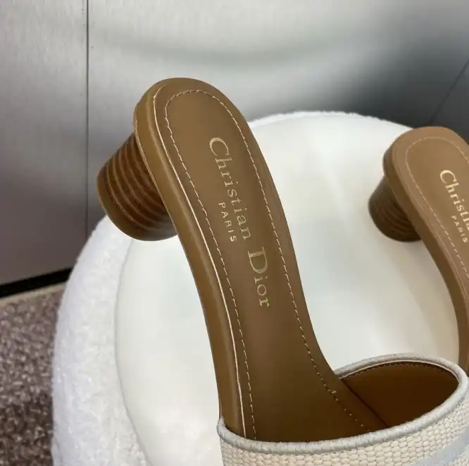 hype Christian Dior Slippers