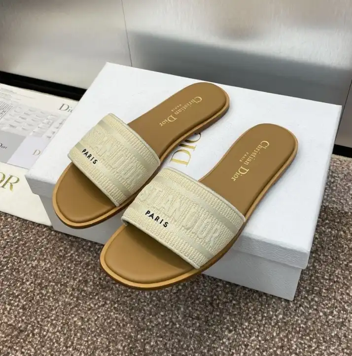 hype Christian Dior Slippers