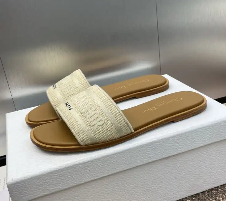 hype Christian Dior Slippers