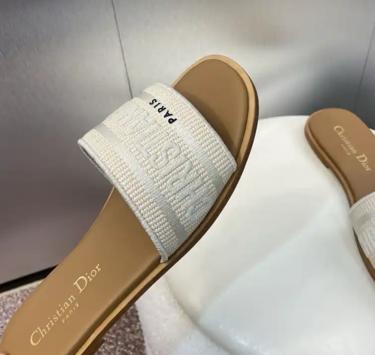 hype Christian Dior Slippers