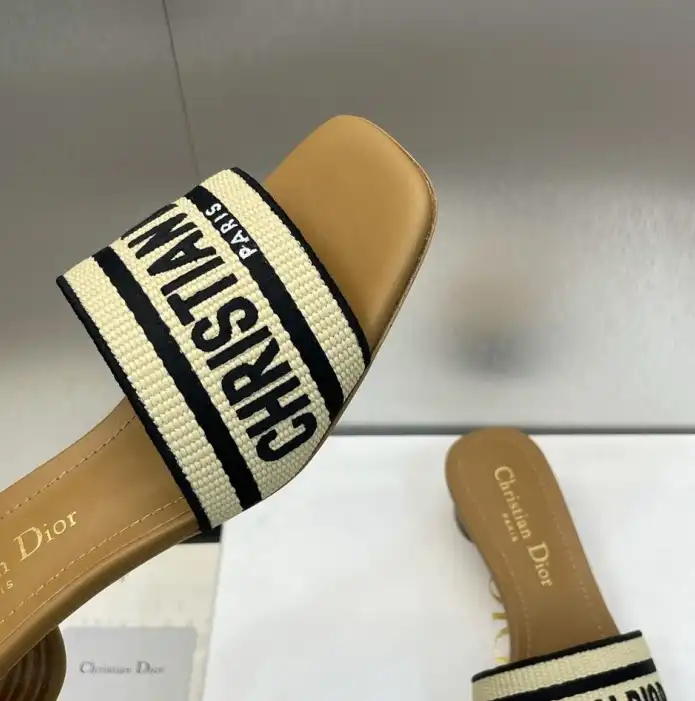 hype Christian Dior Slippers