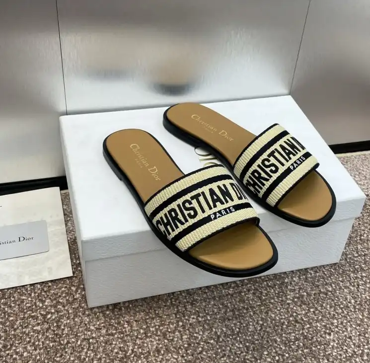 hype Christian Dior Slippers