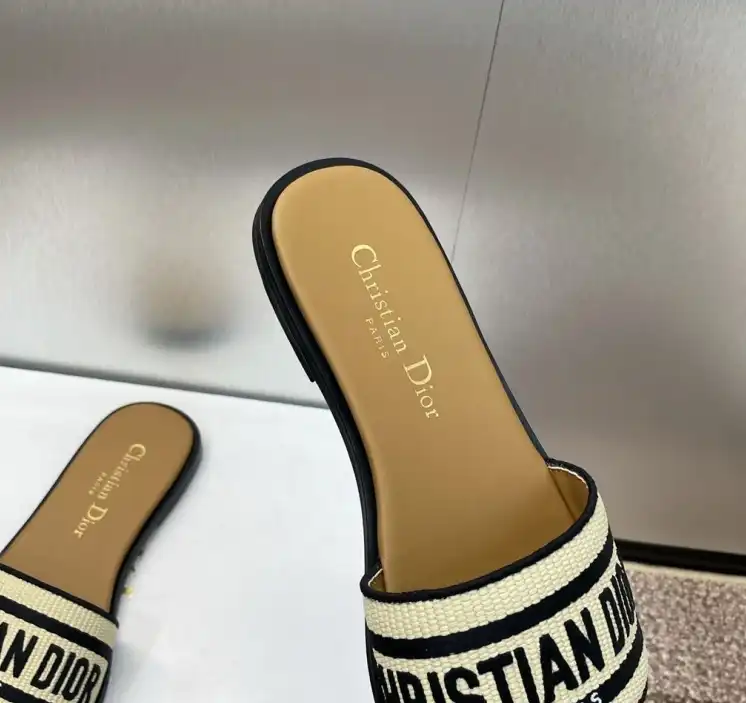 hype Christian Dior Slippers