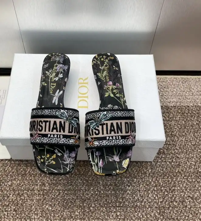 hype Christian Dior Slippers