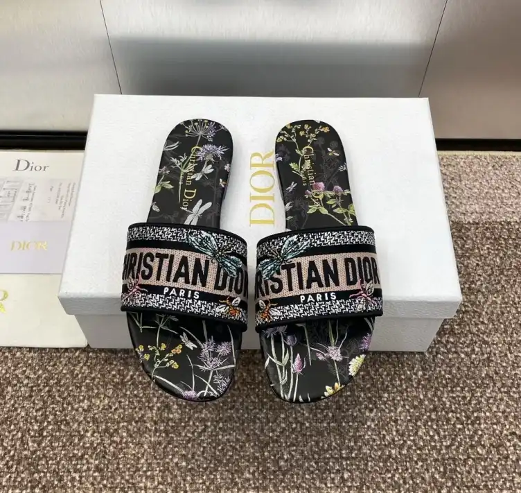 hype Christian Dior Slippers