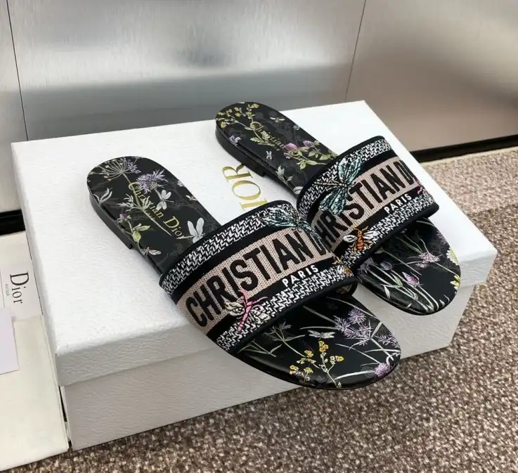 hype Christian Dior Slippers