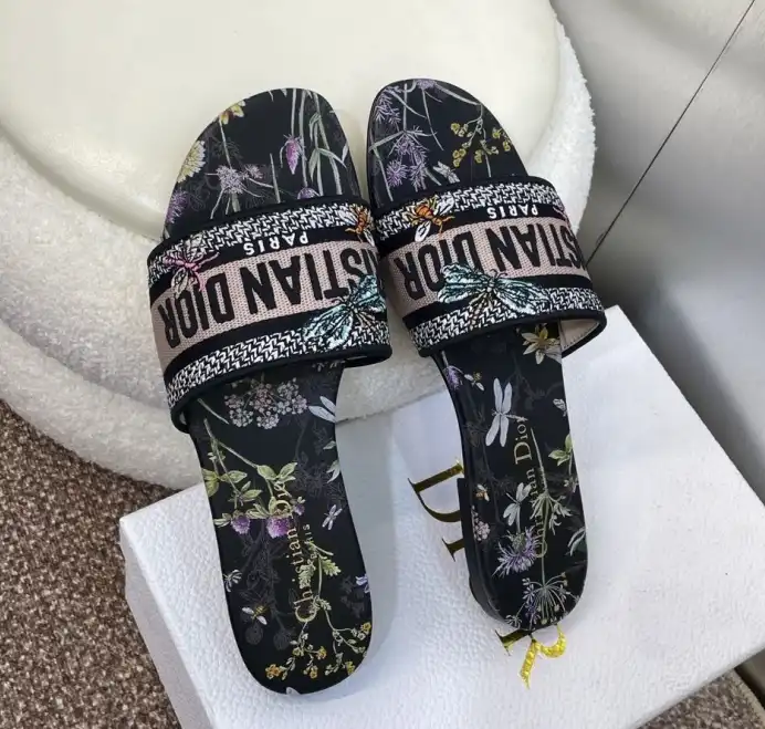 hype Christian Dior Slippers