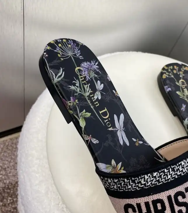 hype Christian Dior Slippers