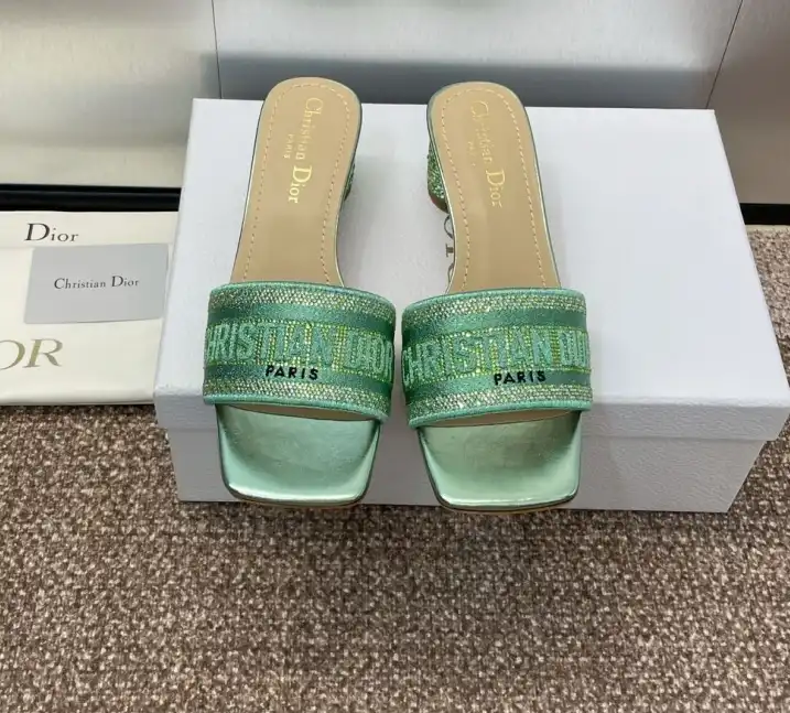 hype Christian Dior Slippers