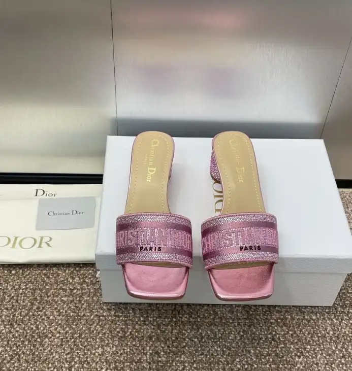 hype Christian Dior Slippers