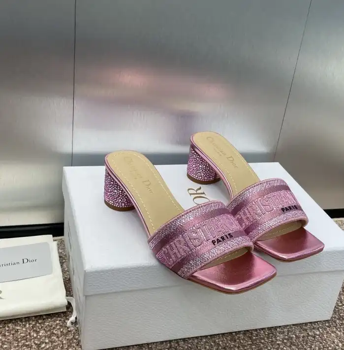 hype Christian Dior Slippers