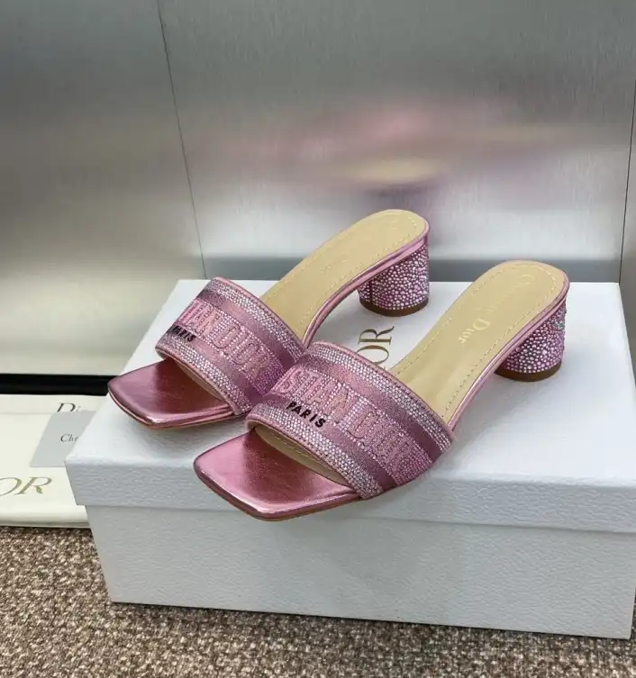 hype Christian Dior Slippers