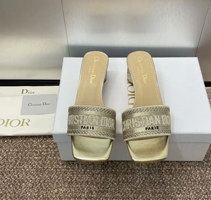 hype Christian Dior Slippers