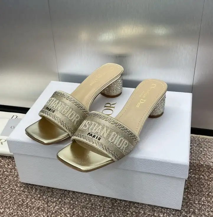 hype Christian Dior Slippers