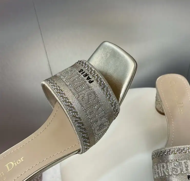 hype Christian Dior Slippers