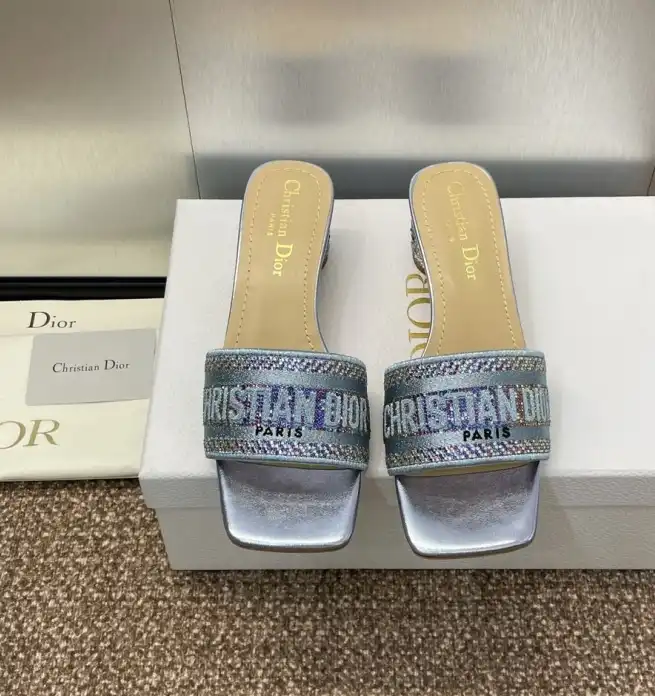 hype Christian Dior Slippers