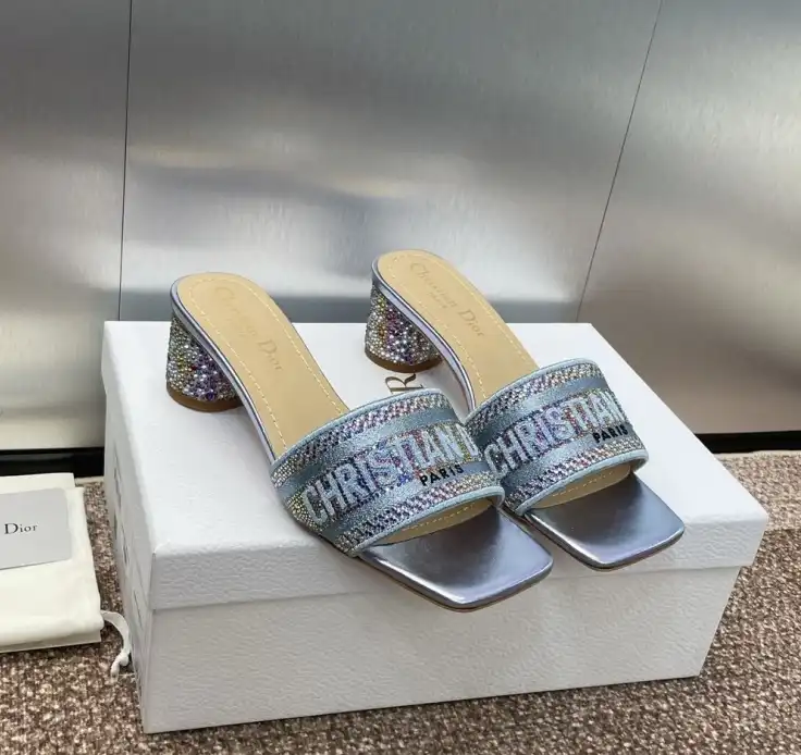 hype Christian Dior Slippers