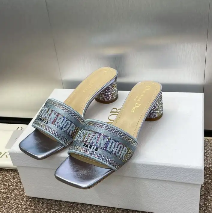 hype Christian Dior Slippers