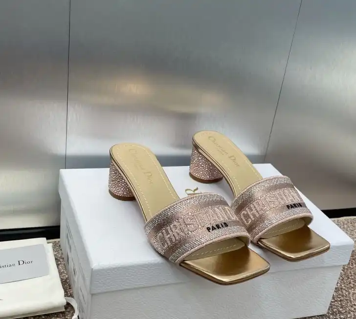 hype Christian Dior Slippers