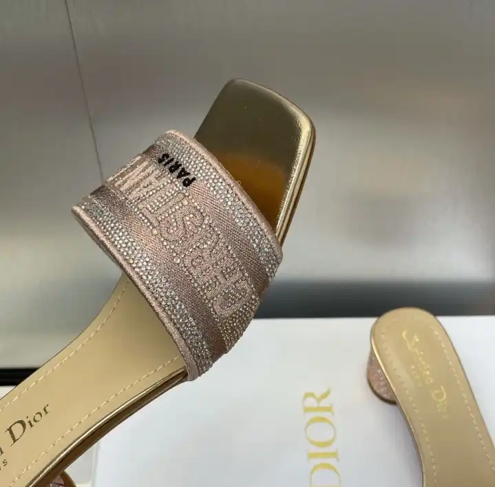 hype Christian Dior Slippers