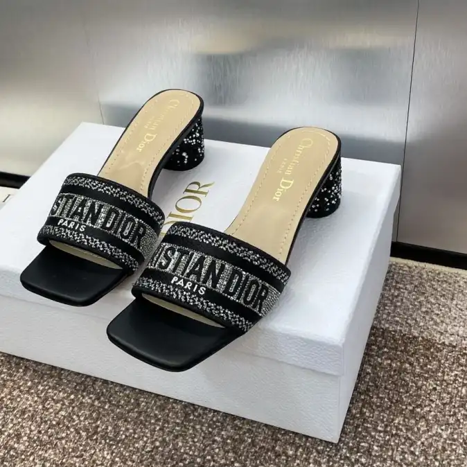 hype Christian Dior Slippers