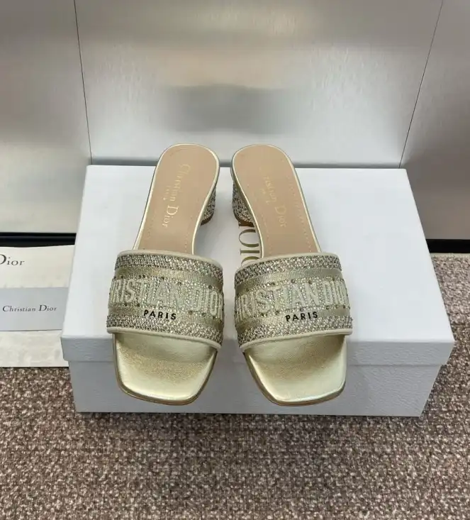 hype Christian Dior Slippers